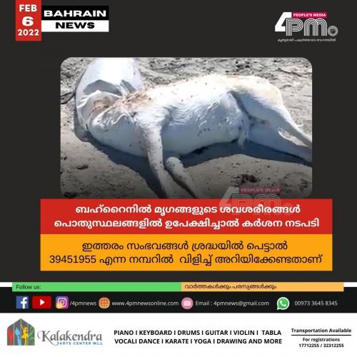 ബഹ്റൈനിൽ മൃഗങ്ങളുടെ ശവശരീരങ്ങൾ പൊതുസ്ഥലങ്ങളിൽ ഉപേക്ഷിച്ചാൽ കർശന നടപടി ബഹ്റൈനിൽ മൃഗങ്ങളുടെ ശവശരീരങ്ങൾ പൊതുസ്ഥലങ്ങളിൽ ഉപേക്ഷിച്ചാൽ കർശന നടപടി