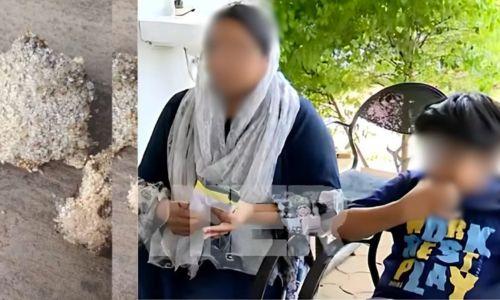 മേപ്പാടിയില് പുഴുവരിച്ച കിറ്റുകള് ലഭിച്ച കുടുംബങ്ങളിലെ കുട്ടികള്ക്ക് ഭക്ഷ്യവിഷബാധ മേപ്പാടിയില് പുഴുവരിച്ച കിറ്റുകള് ലഭിച്ച കുടുംബങ്ങളിലെ കുട്ടികള്ക്ക് ഭക്ഷ്യവിഷബാധ