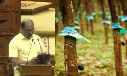 റബ്ബറിന്റെ താങ്ങുവില 10 രൂപ ഉയര്‍ത്തി