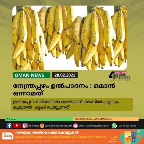 നേന്ത്രപ്പഴം ഉൽപാദനം : ഒമാൻ ഒന്നാമത്