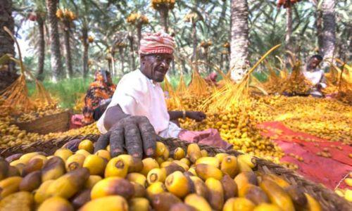 തബ്സീൽ അവസാന ഘട്ടത്തിലേക്ക് തബ്സീൽ അവസാന ഘട്ടത്തിലേക്ക്