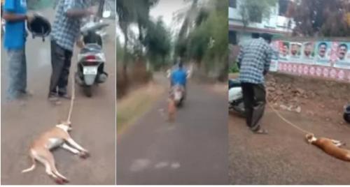 വ​ള​ർ​ത്തു​നാ​യ​യെ സ്കൂ​ട്ട​റി​ൽ കെ​ട്ടി​വ​ലി​ച്ച ഉ​ട​മ അ​റ​സ്റ്റി​ൽ