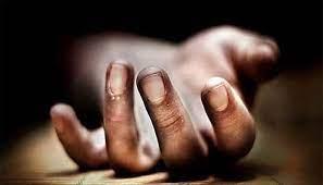 ഏലത്തോട്ടത്തിൽ ദമ്പതിമാർ മരിച്ച നിലയിൽ ഏലത്തോട്ടത്തിൽ ദമ്പതിമാർ മരിച്ച നിലയിൽ