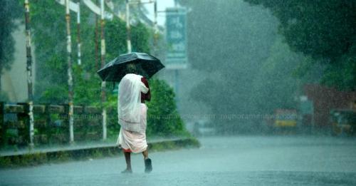 തുലാവർഷം വീണ്ടും സജീവം; മൂന്നു ജില്ലകളിൽ യെല്ലോ അലർട്ട്
