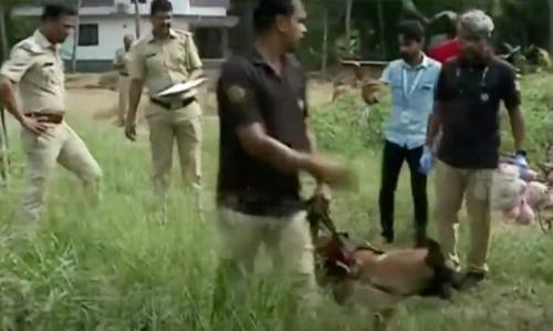 കാഞ്ഞങ്ങാട് 10 വയസുകാരിയെ തട്ടിക്കൊണ്ട് പോയി സ്വർണാഭരണങ്ങൾ കവർന്ന ശേഷം ഉപേക്ഷിച്ചു കാഞ്ഞങ്ങാട് 10 വയസുകാരിയെ തട്ടിക്കൊണ്ട് പോയി സ്വർണാഭരണങ്ങൾ കവർന്ന ശേഷം ഉപേക്ഷിച്ചു