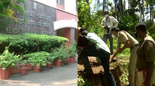 മുട്ടില് മരം കൊള്ള; എന്ഫോഴ്സ്മെന്റ് ഡയറക്ടറേറ്റ് അന്വേഷണം മുട്ടില് മരം കൊള്ള; എന്ഫോഴ്സ്മെന്റ് ഡയറക്ടറേറ്റ് അന്വേഷണം
