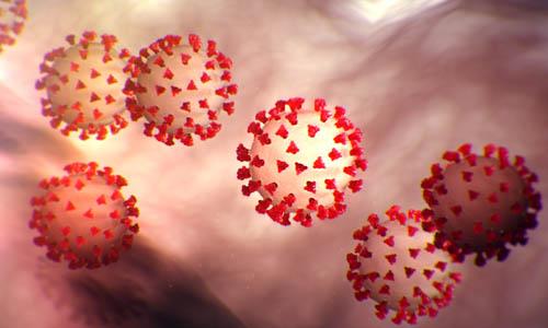 കേരളത്തിൽ ഇന്ന് 5960 പേർക്ക് കൊവിഡ് സ്ഥിരീകരിച്ചു