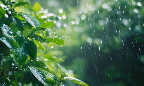 സംസ്ഥാനത്ത് നാളെ മുതൽ പരക്കെ മഴ; അഞ്ച് ജില്ലകളിൽ ഇന്ന് മഴ മുന്നറിയിപ്പ്