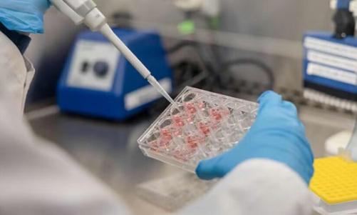 അർബുദ ചികിത്സയിൽ വിപ്ലവവുമായി നാനോ ടെക്‌നോളജി; പുതിയ കണ്ടെത്തലുമായി അബൂദബി ഗവേഷകർ