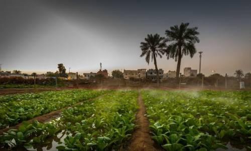 ‘പുനരുപയോഗിക്കൂ... പുനരുജ്ജീവിപ്പിക്കൂ’; ഹരിത ലക്ഷ്യങ്ങളിലേക്ക് കുതിച്ച് ബഹ്‌റൈൻ