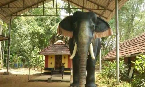 ഇരിഞ്ഞാടപ്പിള്ളി ശ്രീകൃഷ്ണ ക്ഷേത്രത്തിൽ റോബോട്ട് ആന തിടമ്പേറ്റി ഇരിഞ്ഞാടപ്പിള്ളി ശ്രീകൃഷ്ണ ക്ഷേത്രത്തിൽ റോബോട്ട് ആന തിടമ്പേറ്റി