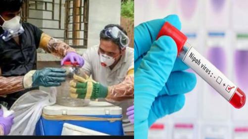 നിപ ബാധിച്ച് മരിച്ച കുട്ടിയുടെ സമ്പര്ക്കപ്പട്ടികയില് കൂടുതല് പേര്; 32 പേര് ഹൈറിസ്ക് കാറ്റഗറിയില് നിപ ബാധിച്ച് മരിച്ച കുട്ടിയുടെ സമ്പര്ക്കപ്പട്ടികയില് കൂടുതല് പേര്; 32 പേര് ഹൈറിസ്ക് കാറ്റഗറിയില്