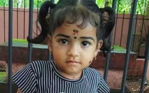 തൃശൂരിൽ രണ്ടര വയസുകാരി വെള്ളക്കെട്ടിൽ വീണ് മരിച്ചു തൃശൂരിൽ രണ്ടര വയസുകാരി വെള്ളക്കെട്ടിൽ വീണ് മരിച്ചു