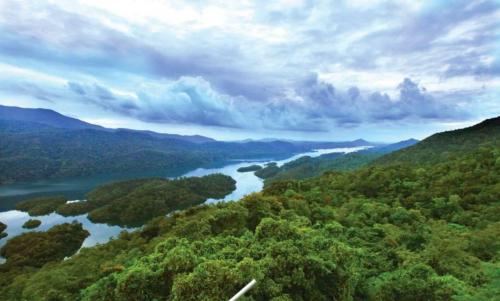 ബഫർ സോൺ; പരാതികൾ അറിയിക്കുന്നതിന് പുതിയ ഭൂപടം മാനദണ്ഡമാക്കണമെന്ന് സർക്കാർ ബഫർ സോൺ; പരാതികൾ അറിയിക്കുന്നതിന് പുതിയ ഭൂപടം മാനദണ്ഡമാക്കണമെന്ന് സർക്കാർ