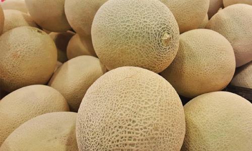 ഒന്പത് രാ­ജ്യങ്ങൾ ലി­സ്റ്റീ­രി­യോ­സിസ് ബാ­ക്ടീ­രി­യ അടങ്ങി­യ റോ­ക്ക് മെ­ലണു­കൾ ഇറക്കു­മതി­ ചെ­യ്തു