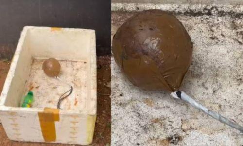 കുന്നംകുളത്ത് സ്കൂൾ പരിസരത്ത് സ്ഫോടക വസ്തു കണ്ടെത്തി കുന്നംകുളത്ത് സ്കൂൾ പരിസരത്ത് സ്ഫോടക വസ്തു കണ്ടെത്തി