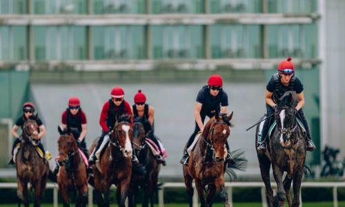 ദുബൈ വേൾഡ് കപ്പ് നാളെ