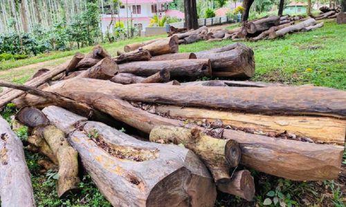 മുട്ടിൽ മരംമുറി കേസ്: അന്വേഷണ സംഘത്തിൽ നിന്ന് മാറ്റണമെന്ന് താനൂർ ഡി.വൈ.എസ്.പി മുട്ടിൽ മരംമുറി കേസ്: അന്വേഷണ സംഘത്തിൽ നിന്ന് മാറ്റണമെന്ന് താനൂർ ഡി.വൈ.എസ്.പി