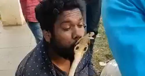 മൂർഖനെ പിടികൂടിയ ശേഷം ചുംബിക്കാൻ ശ്രമം; യുവാവിന് കടിയേറ്റു മൂർഖനെ പിടികൂടിയ ശേഷം ചുംബിക്കാൻ ശ്രമം; യുവാവിന് കടിയേറ്റു
