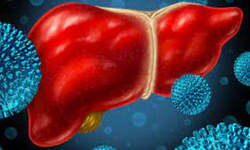 വൈറൽ ഹെപ്പറ്റൈറ്റിസ്: മലപ്പുറത്ത് രണ്ട് മരണം