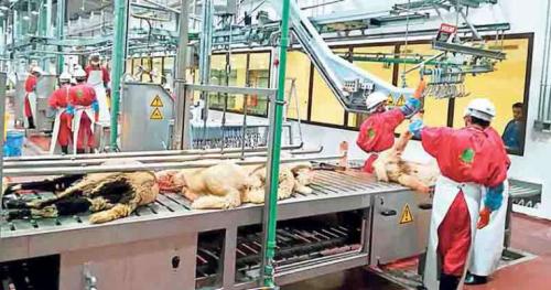 ബലിമൃഗങ്ങളെ അറക്കാന്‍ പ്രത്യേക സൗകര്യം ഒരുക്കുന്നു; നിയമ ലംഘകര്‍ക്കെതിരെ കടുത്ത നടപടി