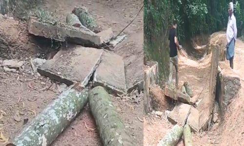 തെങ്ങ് വീണ് രണ്ട് തൊഴിലുറപ്പ് തൊഴിലാളികൾ മരിച്ചു തെങ്ങ് വീണ് രണ്ട് തൊഴിലുറപ്പ് തൊഴിലാളികൾ മരിച്ചു