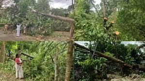 മാള അന്നമനടയിലുണ്ടായ ചുഴലിക്കാറ്റിൽ വ്യാപക നാശനഷ്ടം മാള അന്നമനടയിലുണ്ടായ ചുഴലിക്കാറ്റിൽ വ്യാപക നാശനഷ്ടം