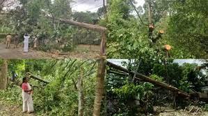 മാള അന്നമനടയിലുണ്ടായ ചുഴലിക്കാറ്റിൽ വ്യാപക നാശനഷ്ടം