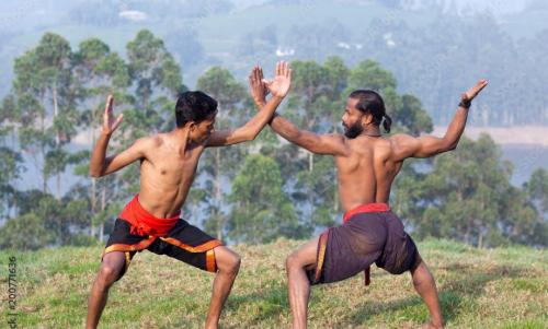 കലാസാംസ്കാരിക വികസനത്തിനായി 183.14 കോടി