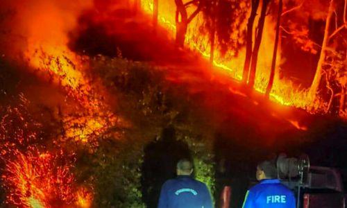 ഉത്തരാഖണ്ഡ് കാട്ടുതീ: അഞ്ചു മരണം, 1300 ഹെക്ടർ കത്തിനശിച്ചു