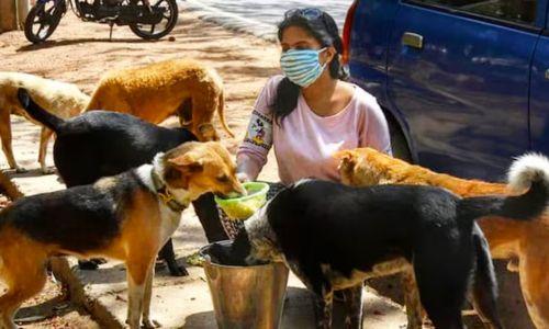 പൊതുസ്ഥലത്ത് തെരുവ് നായകൾക്ക് ഭക്ഷണം നൽകിയാൽ 10,000 രൂപ പിഴ ചുമത്തി ചണ്ഡീഗഡ് പൊതുസ്ഥലത്ത് തെരുവ് നായകൾക്ക് ഭക്ഷണം നൽകിയാൽ 10,000 രൂപ പിഴ ചുമത്തി ചണ്ഡീഗഡ്