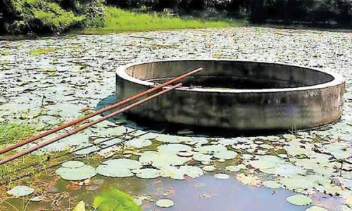 മഞ്ഞപ്പി­ത്തം : കാ­ലടി സംസ്കൃ­ത സർ­വ്വകലാ­ശാ­ല ക്യാന്പസ് അടച്ചു­