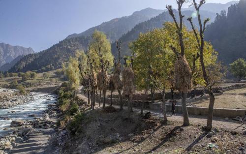 റോഷ്‌നി നിയമ പ്രകാരം ക്രയവിക്രയം ചെയ്ത ഭൂമി ആറ് മാസത്തിനുള്ളിൽ പിടിച്ചെടുക്കാൻ ഉത്തരവിറക്കി ജമ്മു ഭരണകൂടം