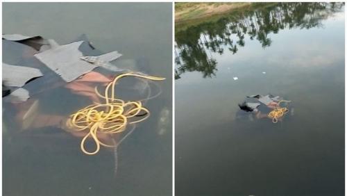 അട്ടപ്പാടിയിൽ ജീപ്പ് പുഴയിലേക്ക് മറിഞ്ഞ് അപകടം; ചികിത്സയിലിരുന്ന ഫോറസ്റ്റ് ഓഫീസർ മരിച്ചു അട്ടപ്പാടിയിൽ ജീപ്പ് പുഴയിലേക്ക് മറിഞ്ഞ് അപകടം; ചികിത്സയിലിരുന്ന ഫോറസ്റ്റ് ഓഫീസർ മരിച്ചു