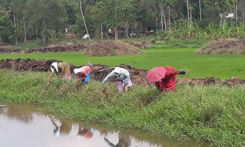 തൊഴിലുറപ്പ് പദ്ധതി നടത്തിപ്പിൽ കേരളം മുന്നിൽ; തൊഴിൽ ദിനം ഉറപ്പാക്കുന്നതിൽ ദേശീയ ശരാശരിയേക്കാൾ മികവ് തൊഴിലുറപ്പ് പദ്ധതി നടത്തിപ്പിൽ കേരളം മുന്നിൽ; തൊഴിൽ ദിനം ഉറപ്പാക്കുന്നതിൽ ദേശീയ ശരാശരിയേക്കാൾ മികവ്
