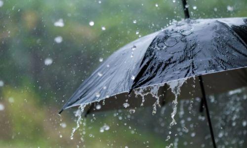 വേനൽമഴ കനക്കും; നാല് ജില്ലകളിൽ യെല്ലോ അലേർട്ട് വേനൽമഴ കനക്കും; നാല് ജില്ലകളിൽ യെല്ലോ അലേർട്ട്