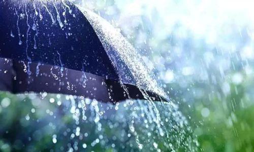 സംസ്ഥാനത്ത് അടുത്ത അഞ്ച് ദിവസം പരക്കെ മഴയ്ക്ക് സാധ്യത സംസ്ഥാനത്ത് അടുത്ത അഞ്ച് ദിവസം പരക്കെ മഴയ്ക്ക് സാധ്യത