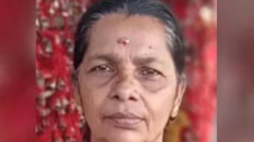 വൈക്കത്ത് മാങ്ങ പറിക്കുന്നതിനിടെ വീട്ടമ്മ വൈദ്യുതാഘാതമേറ്റ് മരിച്ചു