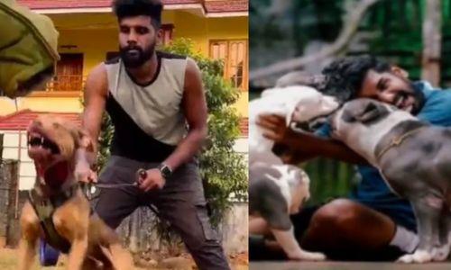 നായപരിശീലന കേന്ദ്രത്തിലെ കഞ്ചാവ് കച്ചവടം; പ്രതി റോബിന്‍ ജോര്‍ജ് പിടിയില്‍