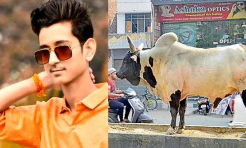 തെരുവുകാള സ്‌കൂട്ടറില്‍ ഇടിച്ച് ബജ്‌റംഗ്ദള്‍ പ്രവര്‍ത്തകന്‍ മരിച്ചു