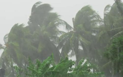 തുലാവർഷം വരുന്നു: തെക്കൻ കേരളത്തിൽ കൂടുതൽ മഴയ്ക്ക് സാധ്യത; ഇന്ന് 6 ജില്ലകളിൽ യെല്ലോ അലർട്ട്