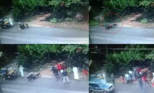 താമരശേരിയിൽ വളർത്തുനായകളുടെ ആക്രമണത്തിൽ യുവതിക്ക് ഗുരുതര പരിക്ക്: ഉടമ കസ്റ്റഡിയിൽ താമരശേരിയിൽ വളർത്തുനായകളുടെ ആക്രമണത്തിൽ യുവതിക്ക് ഗുരുതര പരിക്ക്: ഉടമ കസ്റ്റഡിയിൽ