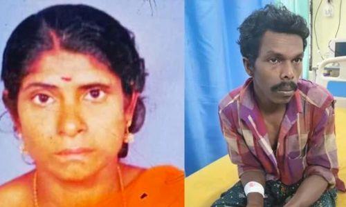 പീരുമേട്ടിലെ സീതയുടെ മരണം കൊലപാതകം; കാട്ടാന ആക്രമണത്തിന്റെ ലക്ഷണമില്ല പീരുമേട്ടിലെ സീതയുടെ മരണം കൊലപാതകം; കാട്ടാന ആക്രമണത്തിന്റെ ലക്ഷണമില്ല