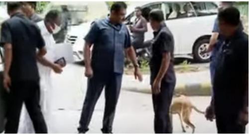 മുഖ്യമന്ത്രി പിണറായി വിജയനു നേരെയും തെരുവുനായ മുഖ്യമന്ത്രി പിണറായി വിജയനു നേരെയും തെരുവുനായ