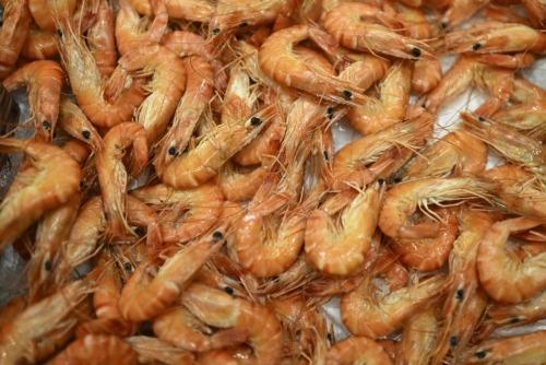 ബഹ്‌റൈനിൽ ചെമ്മീൻ പിടുത്തത്തിന് ഞായറാഴ്ച മുതൽ നിരോധനം; ആറുമാസത്തേക്ക് കർശന നിയന്ത്രണം