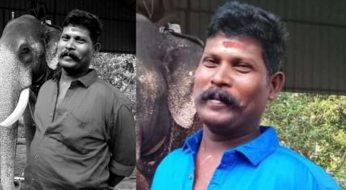 ഒറ്റപ്പാലത്ത് വരിക്കാശ്ശേരി മനയിൽ ആന പാപ്പാനെ അടിച്ചുകൊന്നു
