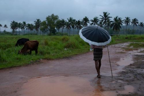 കേരളത്തിൽ അടുത്ത അടുത്ത മണിക്കൂറുകളില്‍ കാറ്റിനും മഴയ്ക്കും സാധ്യതയുള്ളതായി മുന്നറിയിപ്പ്