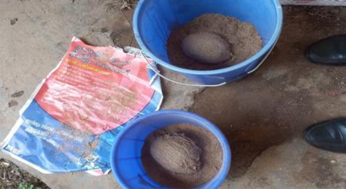 കണ്ണൂരിൽ സ്കൂളിനുള്ളിൽ നിന്നും ബോംബുകൾ കണ്ടെത്തി