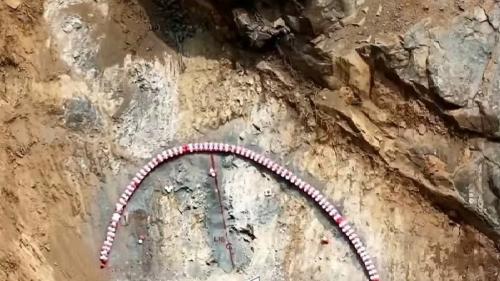 വയനാട് തുരങ്കപ്പാത: പരിസ്ഥിതി സമിതിയുടെ അപ്പീൽ സുപ്രീംകോടതി തള്ളി; പദ്ധതി സംസ്ഥാനത്തിന്റെ 'ജീവരേഖ'യെന്ന് നിരീക്ഷണം