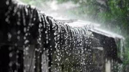 തുലാവർഷം തകർക്കും : ഇന്നും നാളെയും അതിശക്തമായ മഴ തുലാവർഷം തകർക്കും : ഇന്നും നാളെയും അതിശക്തമായ മഴ